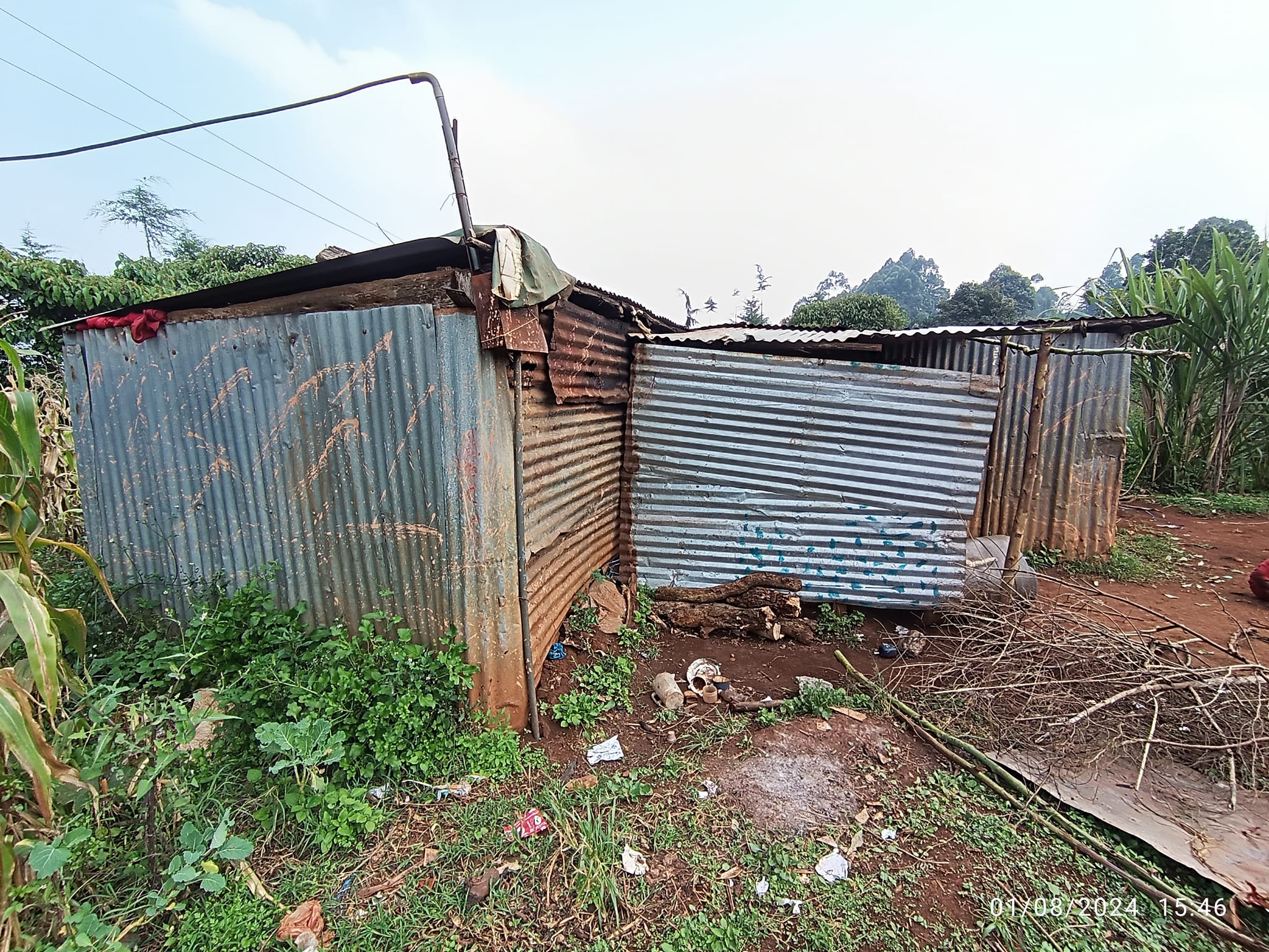 The dilapidated state of the Mahogany family's house